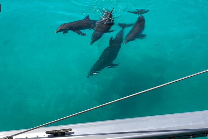 Sunset Sail & Dolphin Search With Honest Eco - Meeting Point and Departure