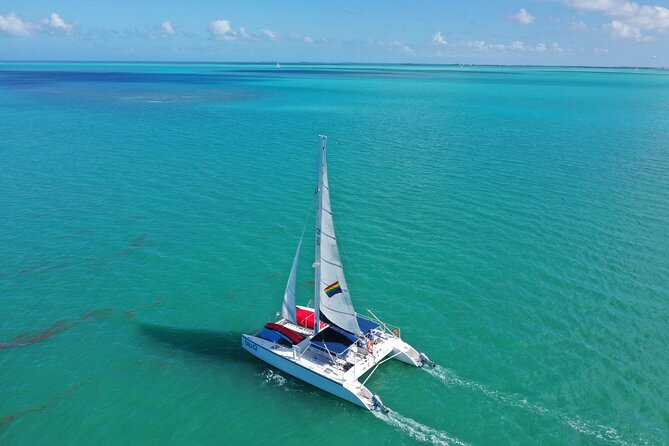 Sunset Sail & Dolphin Search With Honest Eco - Activity Details