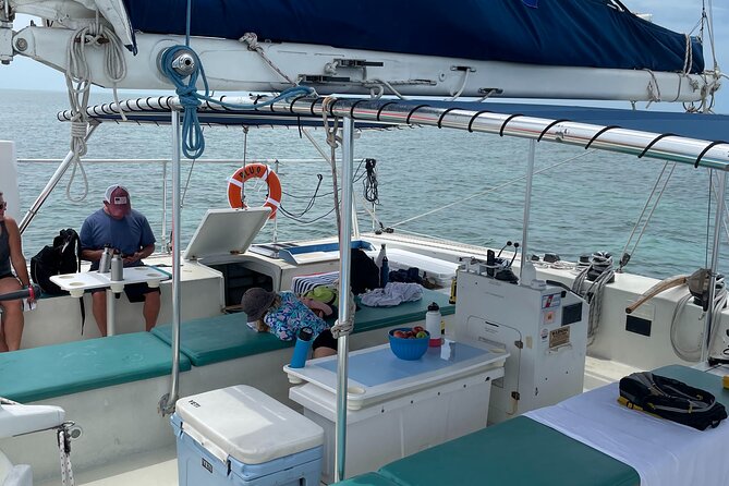 Sunset Sail & Dolphin Search With Honest Eco - Dolphin Sighting Experience