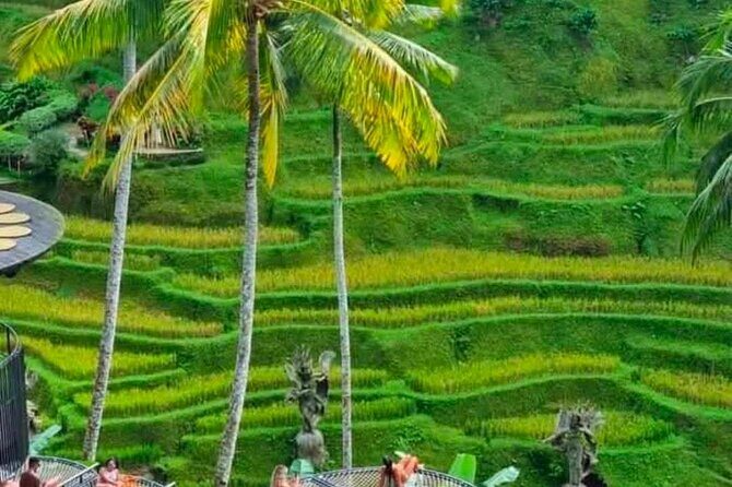 Sunset Sailboat Dinner Cruise & Private Ubud highlights Tour. - Pricing and Value