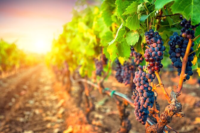 Sunset Sip Wine Tour - Inclusions