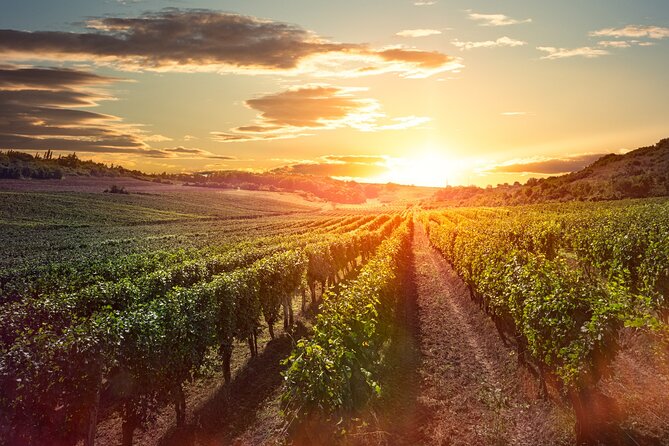 Sunset Sip Wine Tour - Cancellation Policy