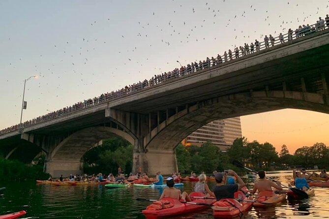 Sunset Skyline Kayak Tour - Inclusions