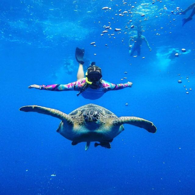 Sunset Snorkeling Trip Private - Experience Highlights