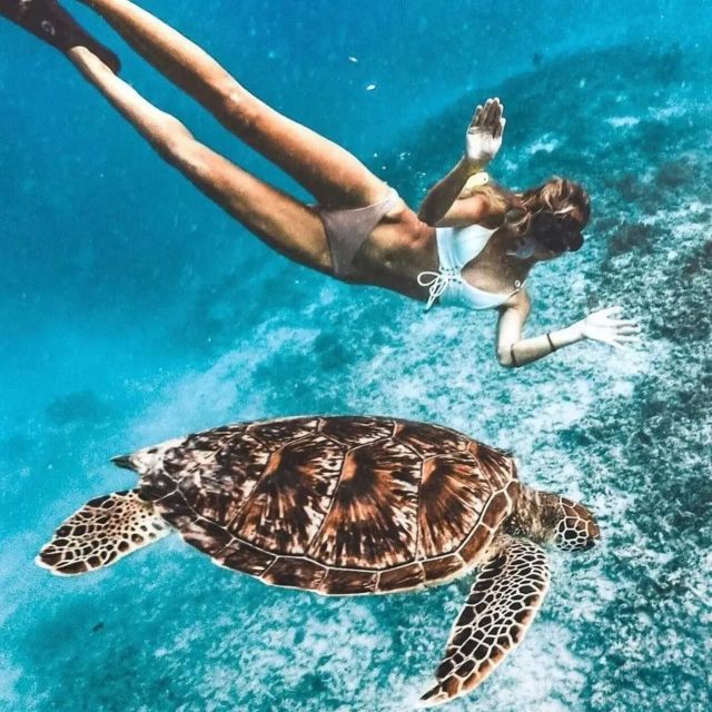 Sunset Snorkeling Trip Private - Included Equipment