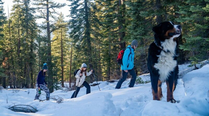 Sunset Snowshoe Guided Hike - Key Points