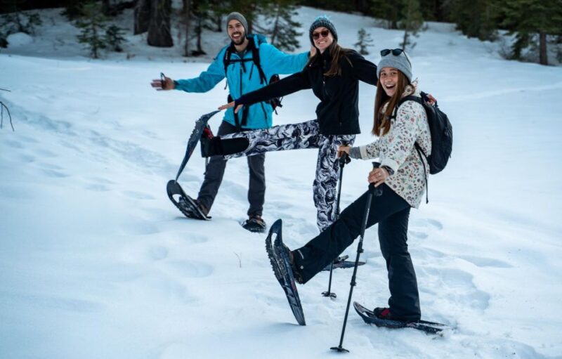 Sunset Snowshoe Guided Hike - Experience Highlights