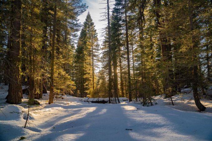 Sunset Snowshoe Guided Hike - Connecting With Nature
