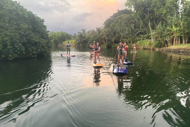 Sunset Stand up Paddle With Photos and Turtles - Paddling the Sunset