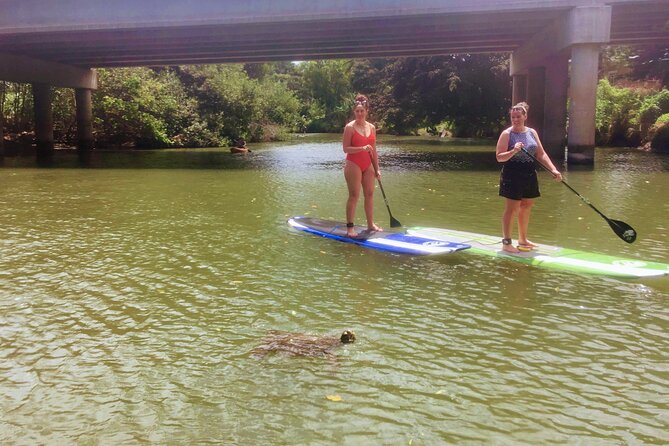 Sunset Stand up Paddle With Photos and Turtles - Spotting Wildlife