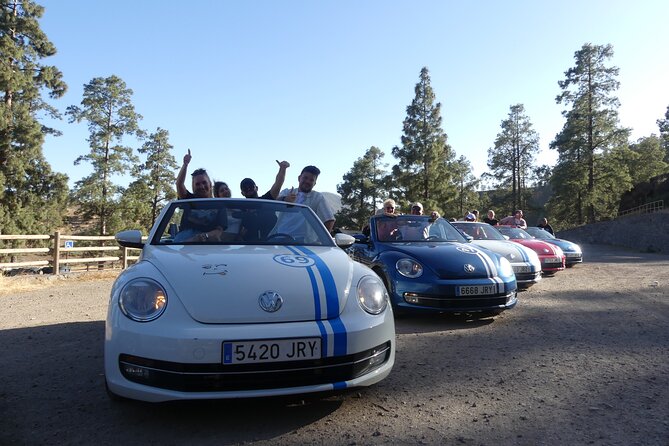 Sunset Tour in Beetle Convertible West Coast - Tour Experience and Reviews