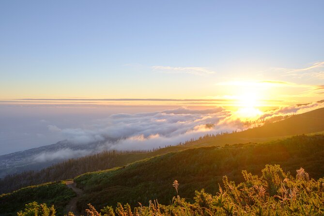 Sunset Tour in Fanal Forest With Food and Drinks - What to Bring