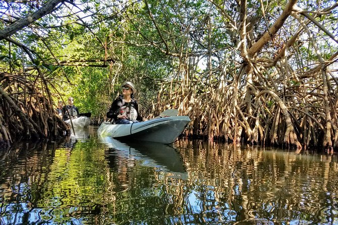 Sunset Tour Mangrove, Dolphins, Manatee #1 Rated in Cocoa Beach - Cancellation Policy