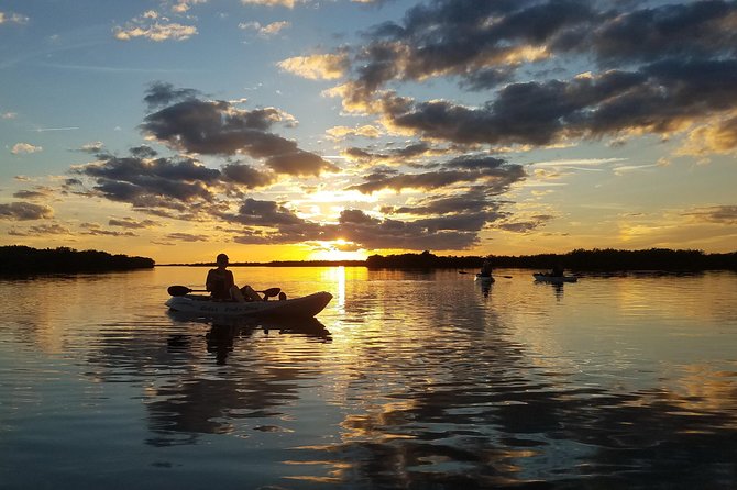 Sunset Tour Mangrove, Dolphins, Manatee #1 Rated in Cocoa Beach - Reviews and Ratings
