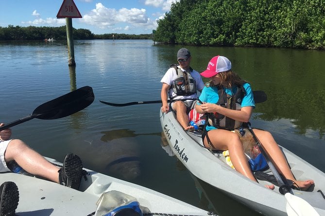 Sunset Tour Mangrove, Dolphins, Manatee #1 Rated in Cocoa Beach - Spotting Dolphins and Manatees