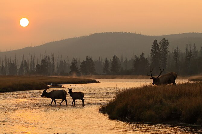 Sunset Tour of Grand Teton National Park - Inclusions