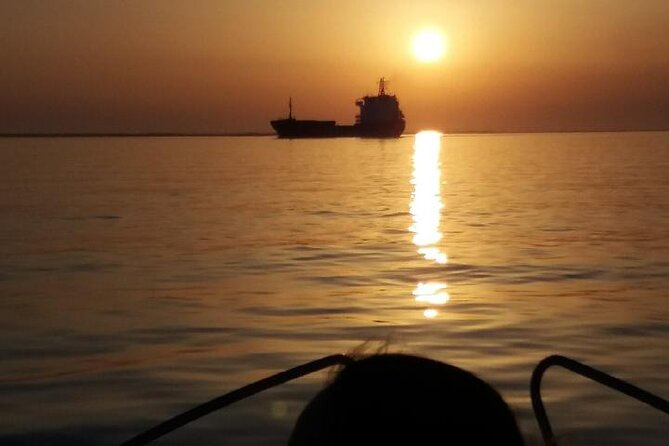 Sunset Tour | Ria Formosa - From Faro - Wildlife and Coastal Scenery