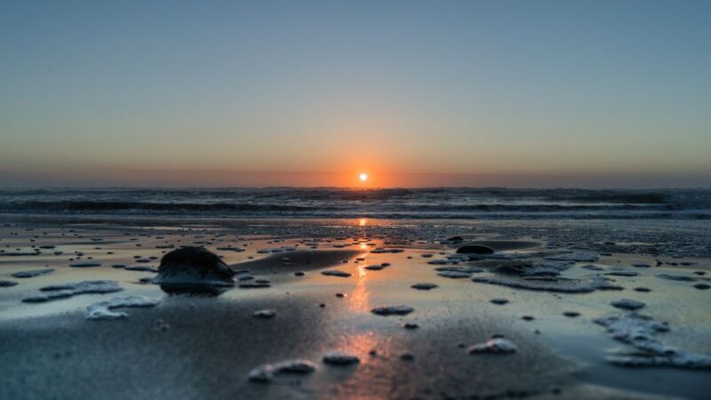 Sunset Tours - Tour Logistics and Safety
