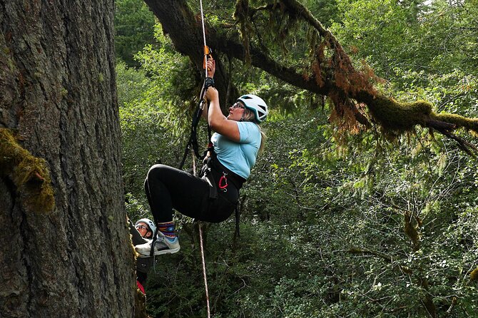 Sunset Tree Climb at Silver Falls State Park - Meeting Point