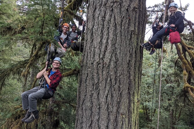 Sunset Tree Climb at Silver Falls State Park - Additional Information