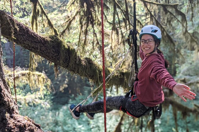 Sunset Tree Climb at Silver Falls State Park - Adaptive Options