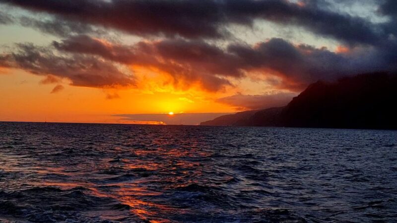 Sunset Trip on Board Seaborn Catamaran - Important Information