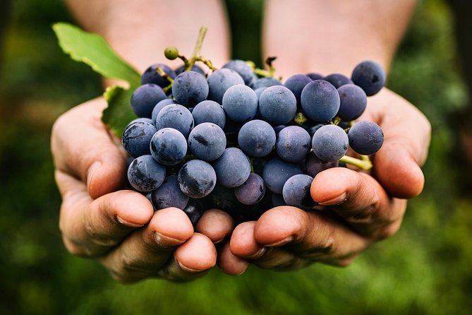 Sunset VIP Chianti Wine Tour - Included in the Package