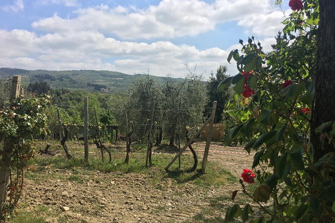 Sunset VIP Chianti Wine Tour - Accessibility and Additional Details