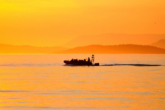 Sunset Whale and Wildlife Adventure in Cowichan Bay - The Sunset Experience