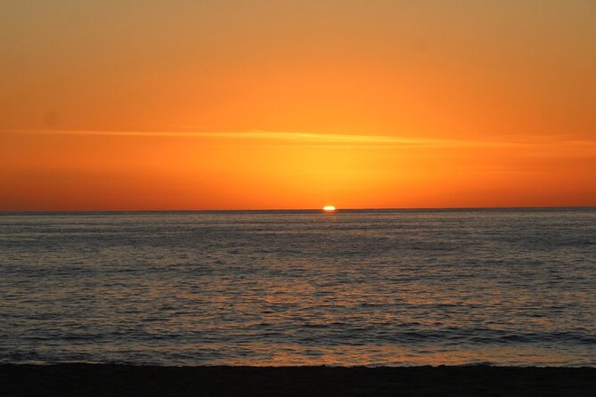 Sunset Whale Cruise in Cabo San Lucas - Tour Details