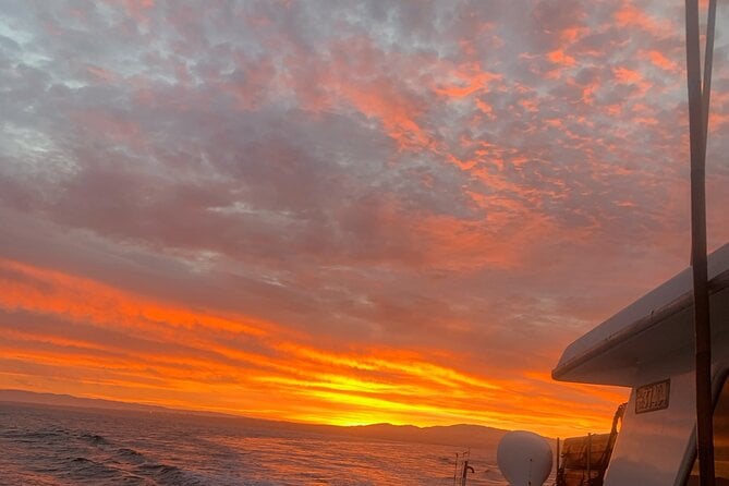 Sunset Whale Watch Tour in Monterey - Booking and Logistics