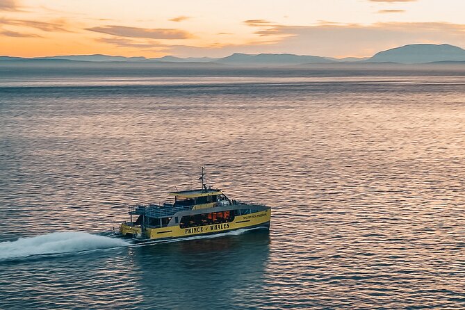 Sunset Whale Watching Adventure From Vancouver - Meeting Point