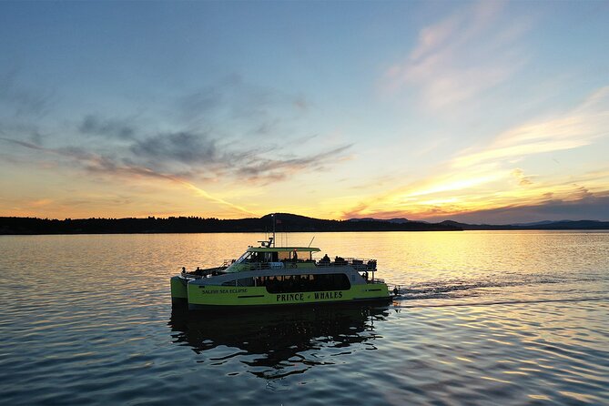 Sunset Whale Watching Adventure From Victoria - Highlights of the Tour