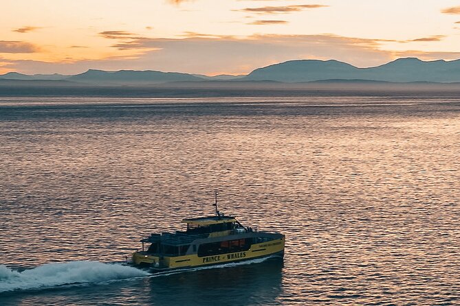 Sunset Whale Watching Adventure From Victoria - Coastal Scenery and Wildlife