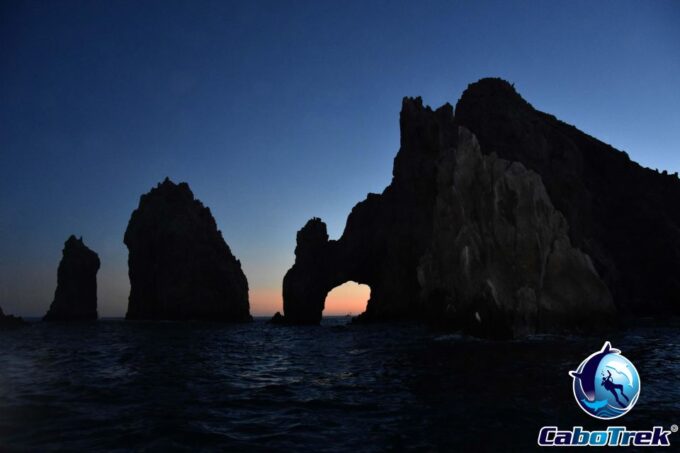 Sunset Whale Watching Cruise in Cabo San Lucas - Important Considerations