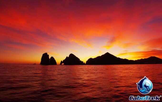 Sunset Whale Watching Cruise in Cabo San Lucas - Frequently Asked Questions