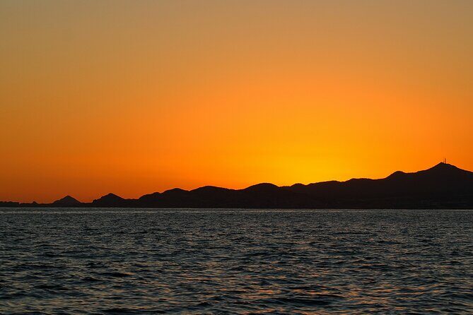 Sunset Whale Watching in San Jose del Cabo - The Sum Up: Is It Worth It?