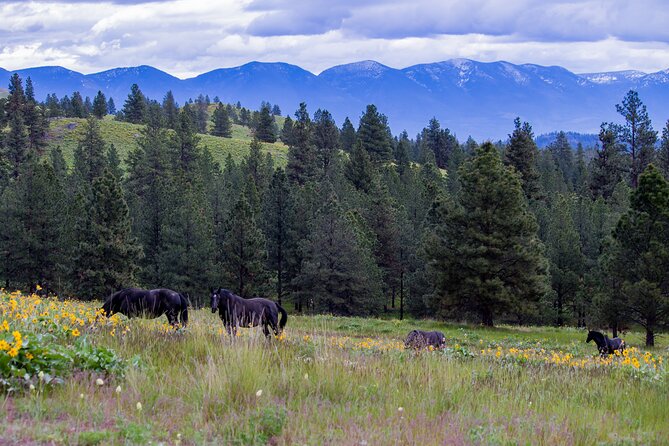 Sunset Wild Horse Island Private Boat Tour - Exploring Flathead Lake