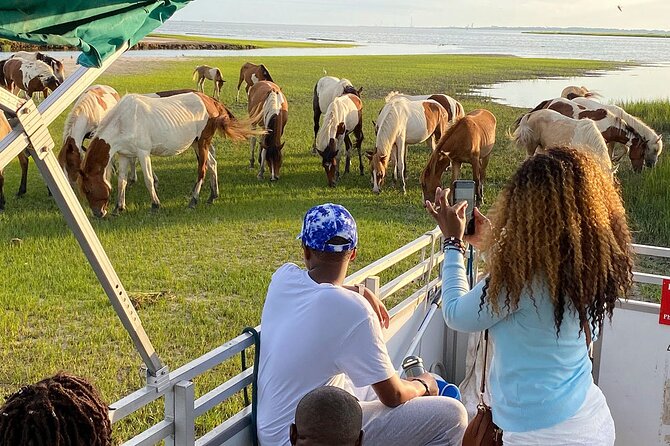 Sunset Wildlife Cruise Along Assateague & Chincoteague Island - Captivating Sunset Vistas