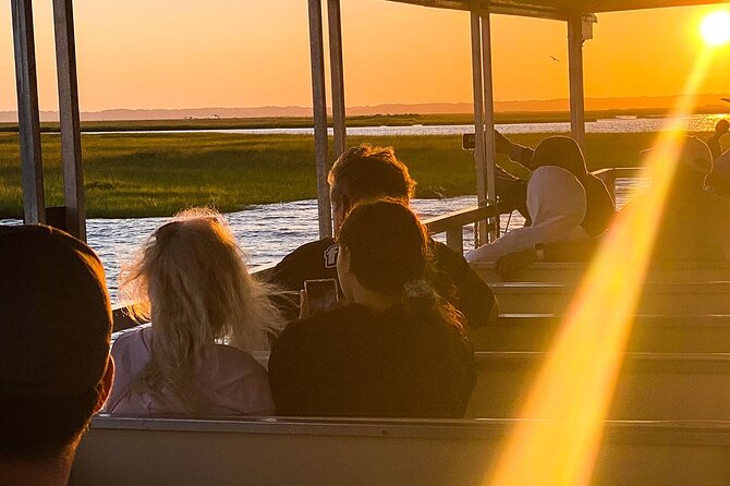 Sunset Wildlife Cruise Along Assateague & Chincoteague Island - Highlights of the Cruise Experience