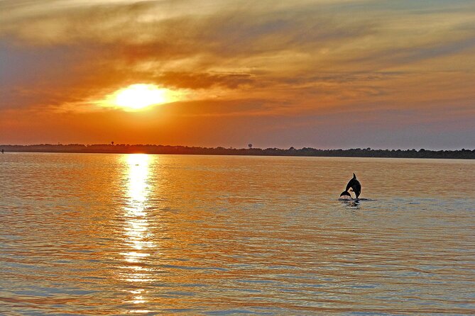 Sunset Wildlife Cruise Along Assateague & Chincoteague Island - Booking and Additional Information