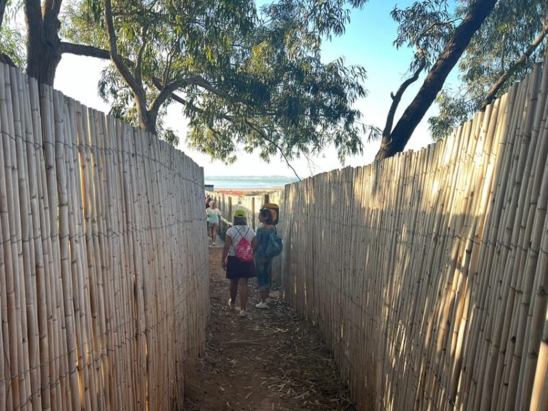 Sunset Wine Tour With Tasting in a Natural Park - Key Points