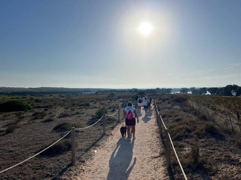 Sunset Wine Tour With Tasting in a Natural Park - Experience Highlights