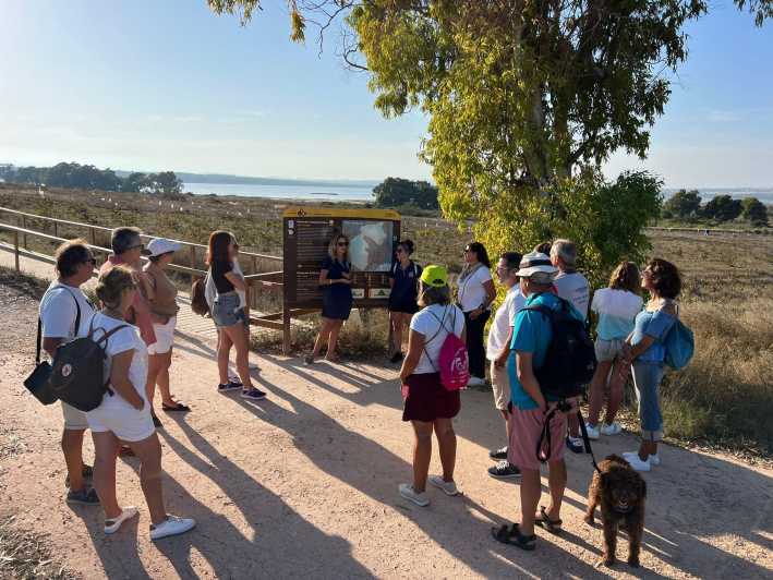 Sunset Wine Tour With Tasting in a Natural Park - Tour Details