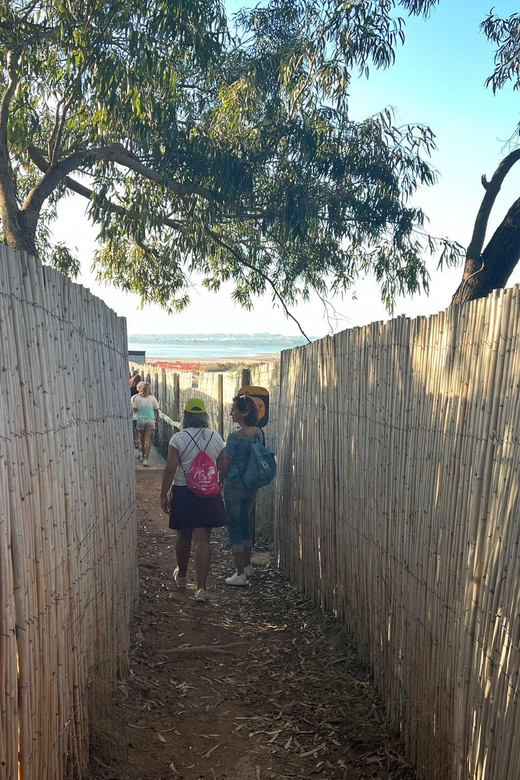 Sunset Wine Tour With Tasting in a Natural Park - Pairing With Tapas and Oils