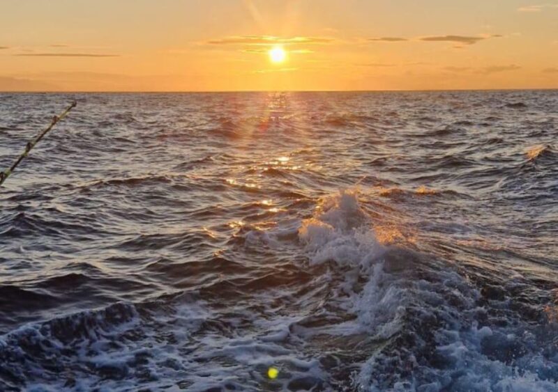 Sunset With Saena - Activities and Relaxation