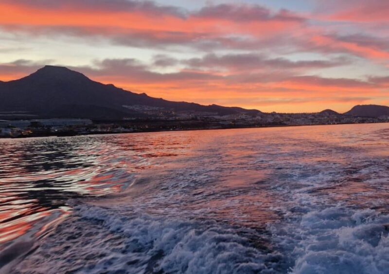 Sunset With Saena - Pricing and Group Size