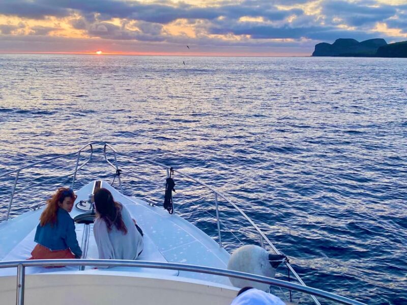 Sunset Yacht Tour With Food and Wine Tasting. - Inclusions and Activities