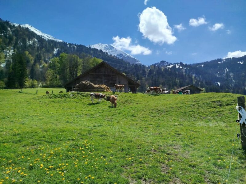 Sunset Yoga Hiking Tour - Group Size and Languages