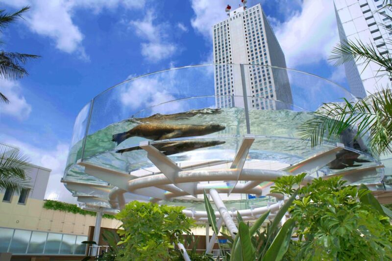 Sunshine Aquarium - Accessibility and Group Size